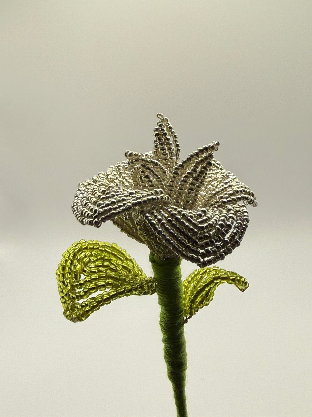 Rosa de plata