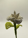 Rosa de plata