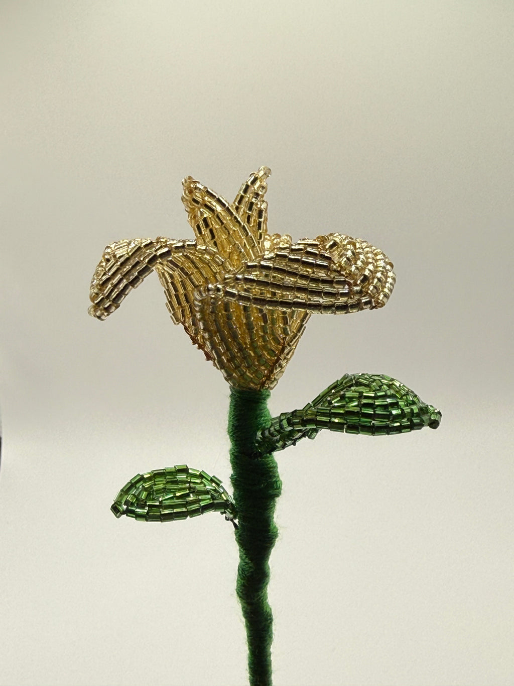Rosa de oro
