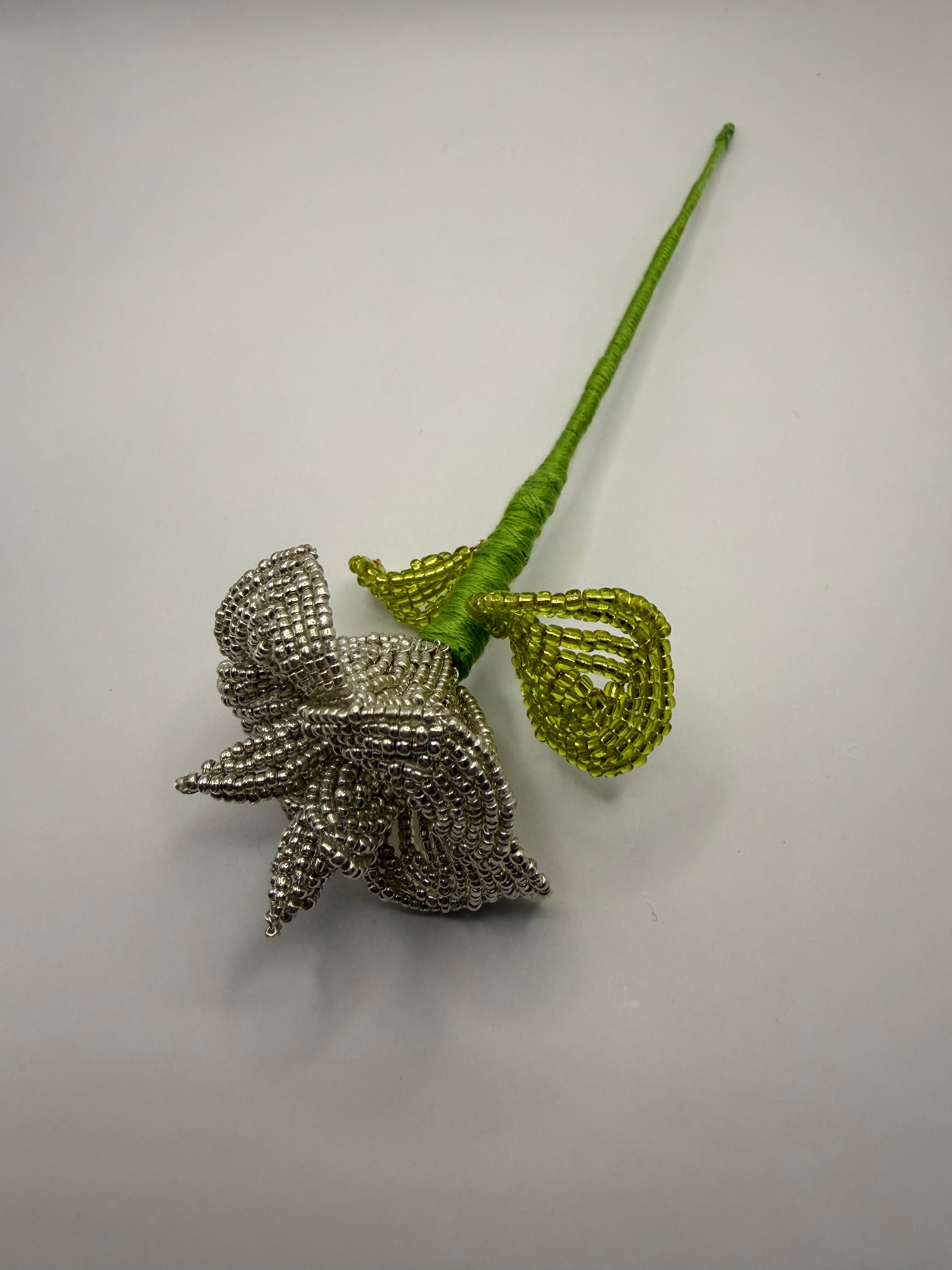 Rosa de plata