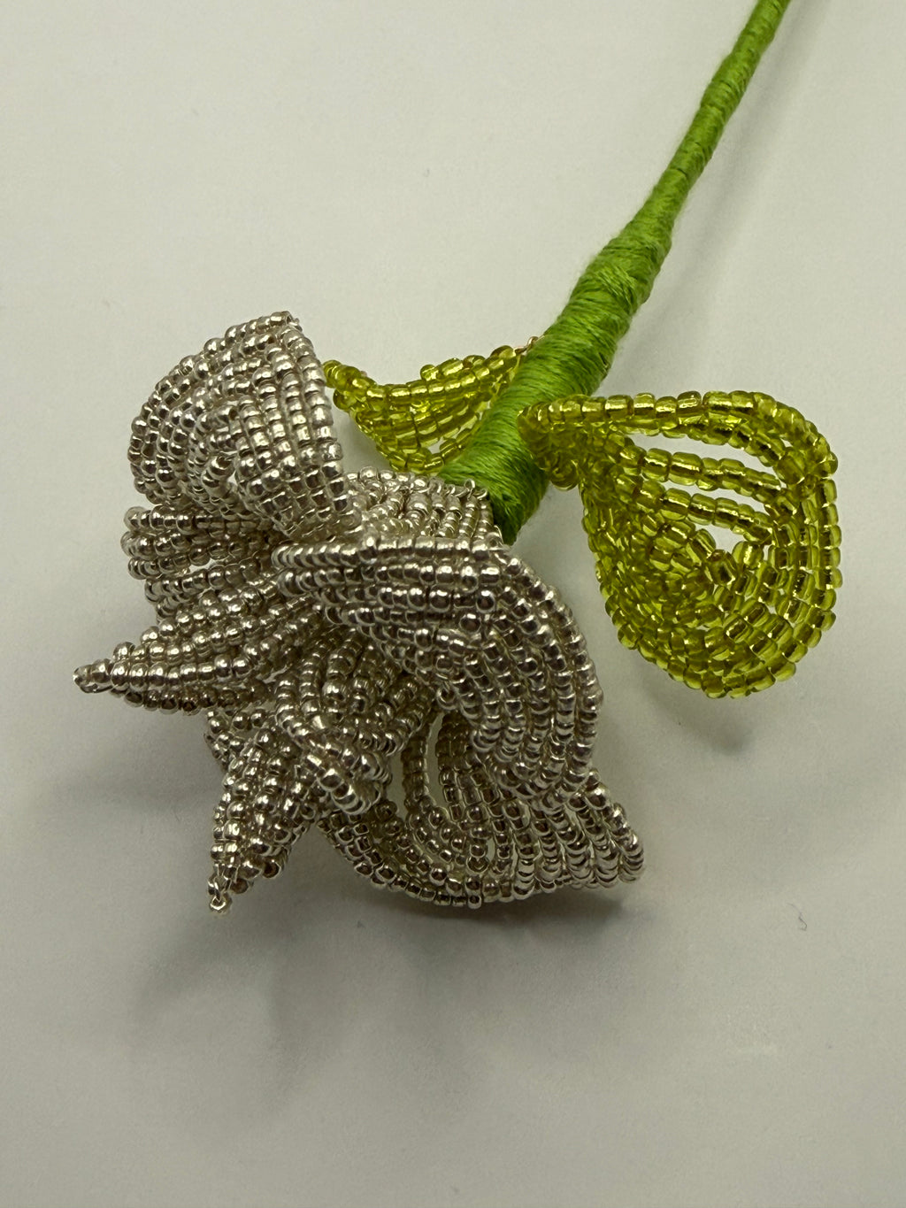 Rosa de plata