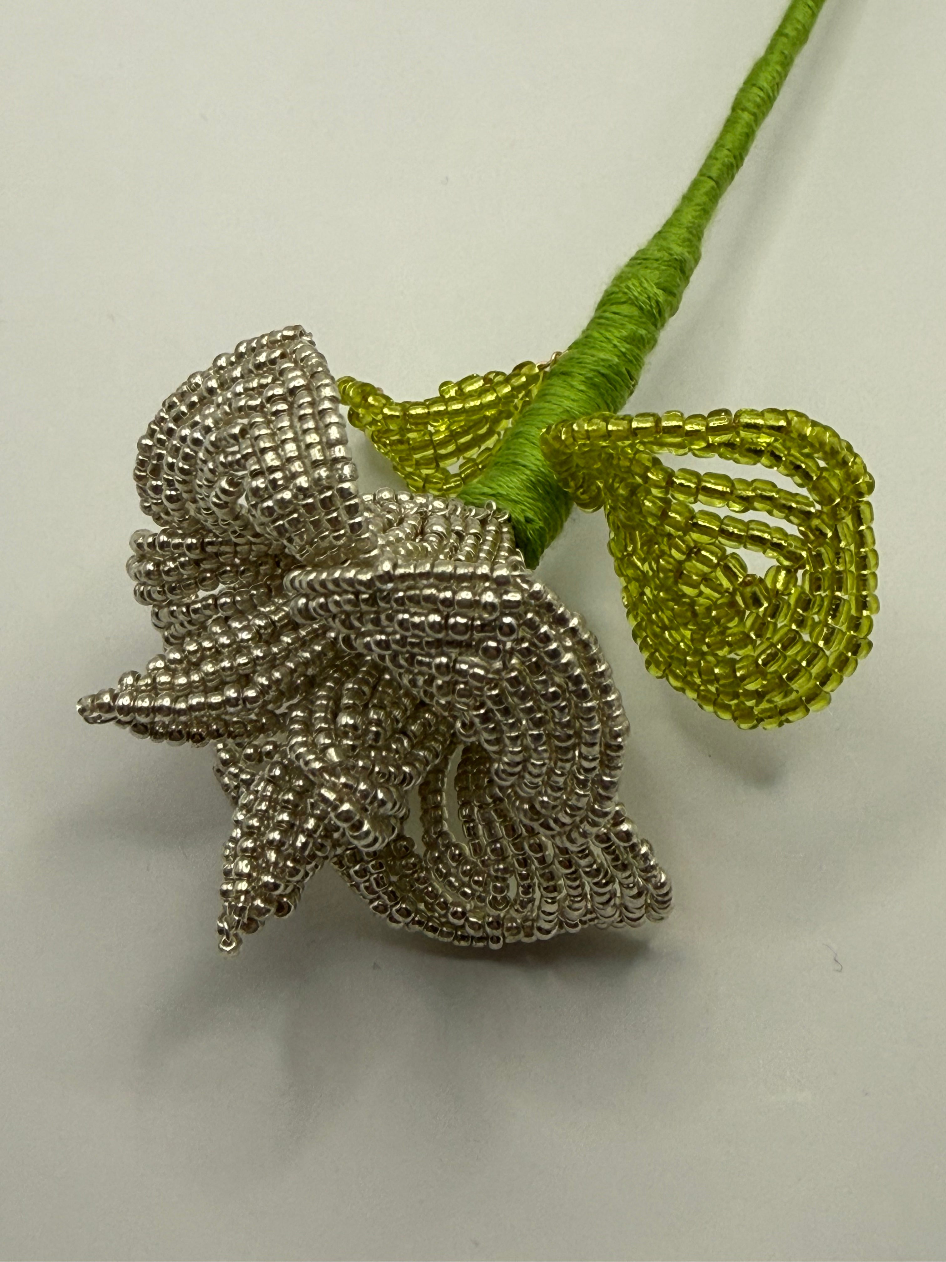 Rosa de plata