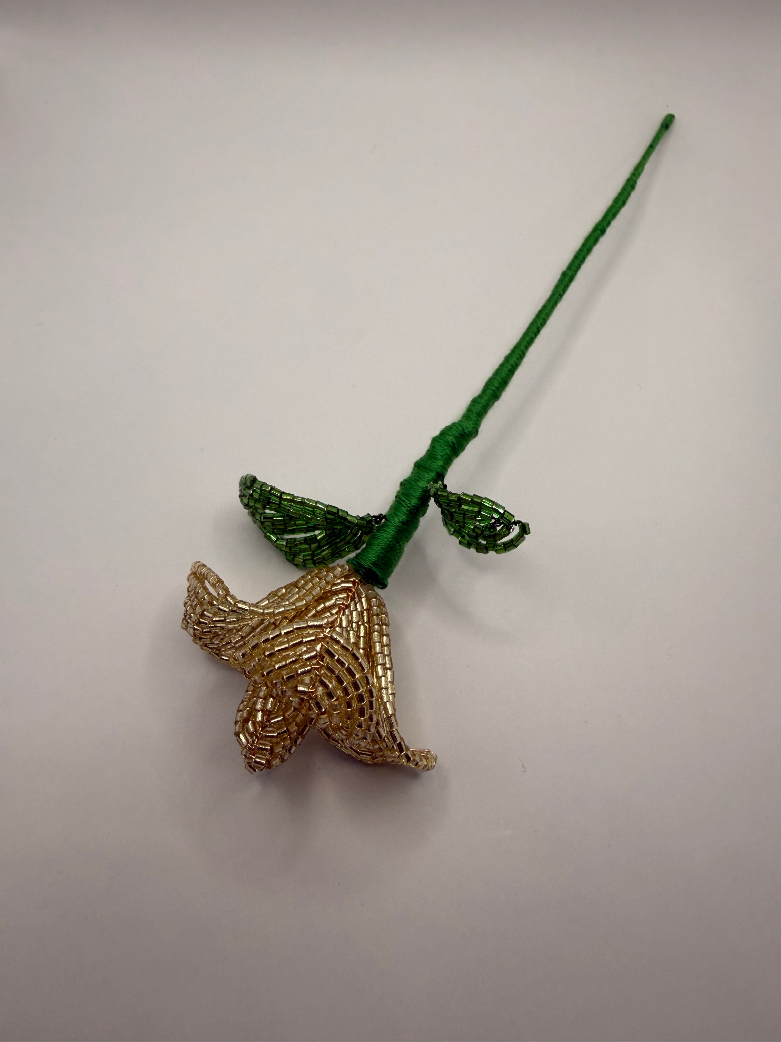 Rosa de oro