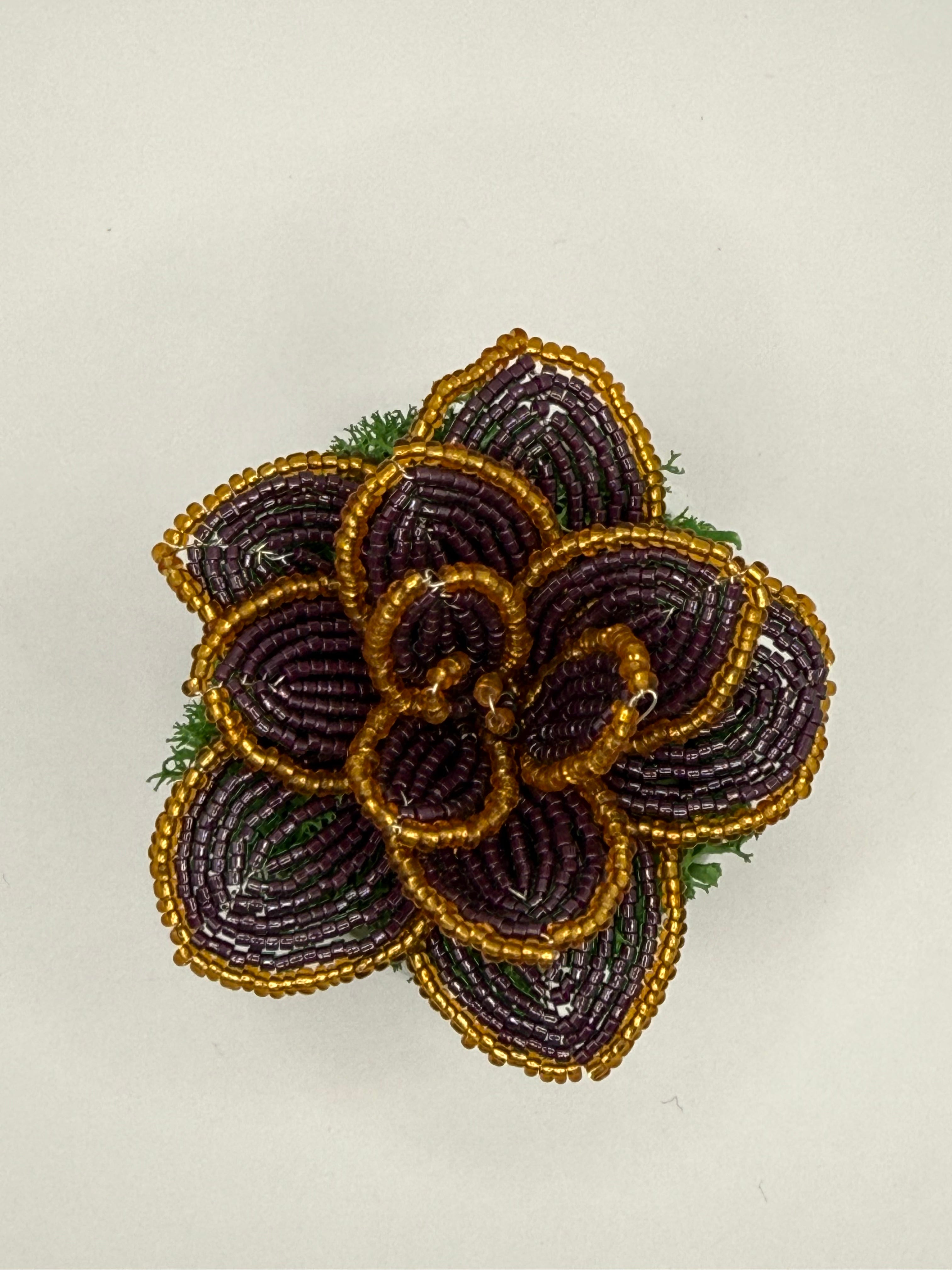 Suculenta Lila