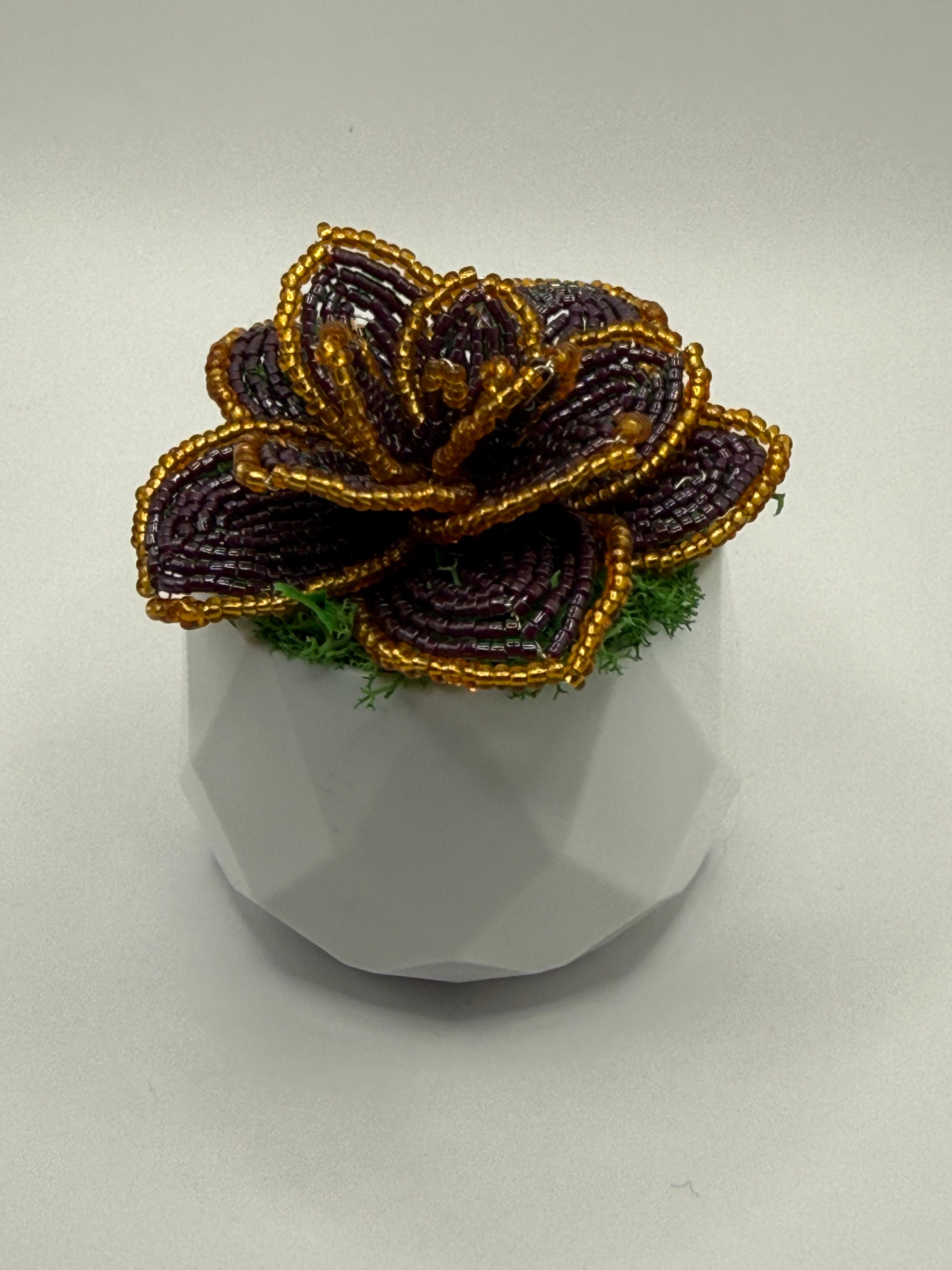 Suculenta Lila