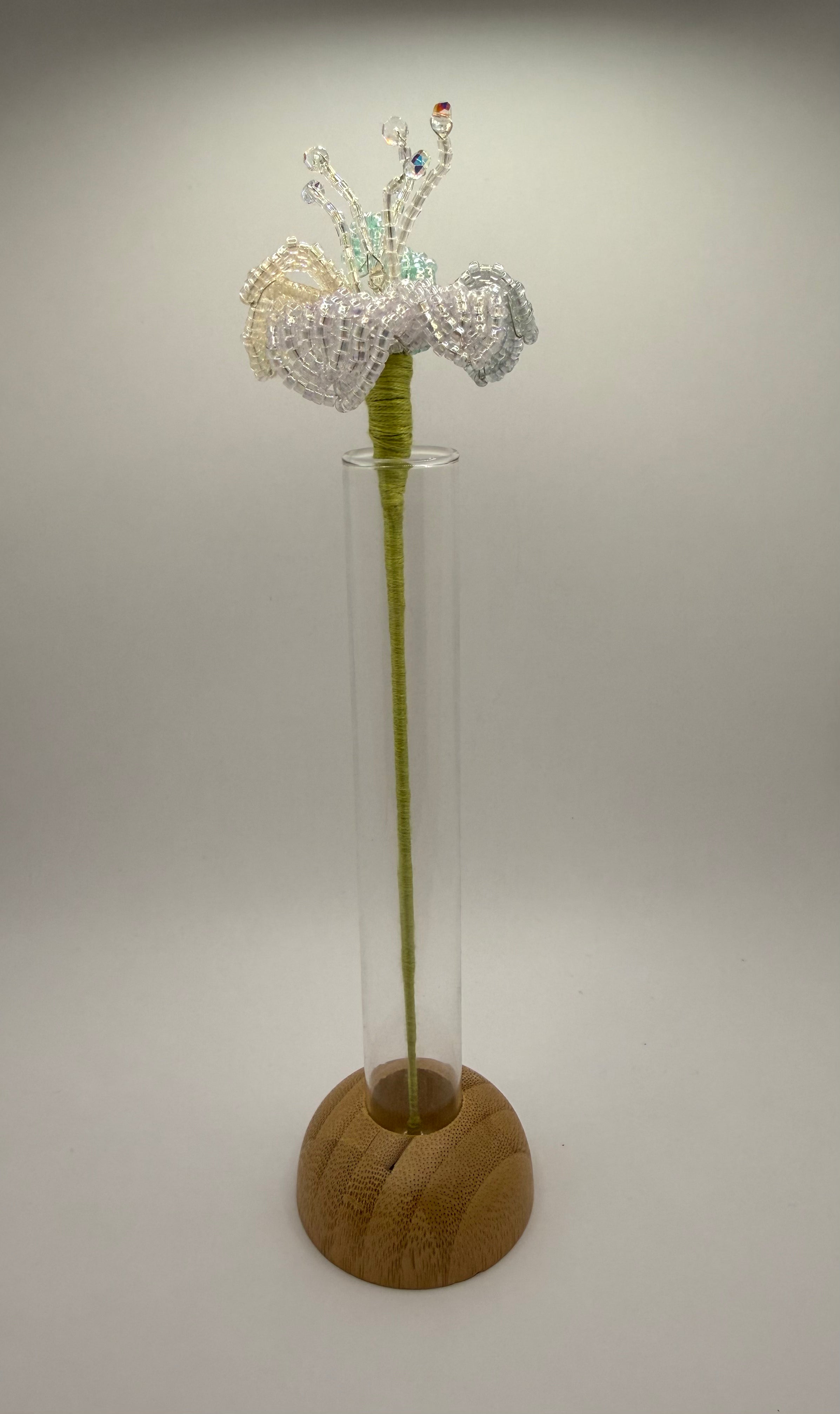 Luz de arcoíris