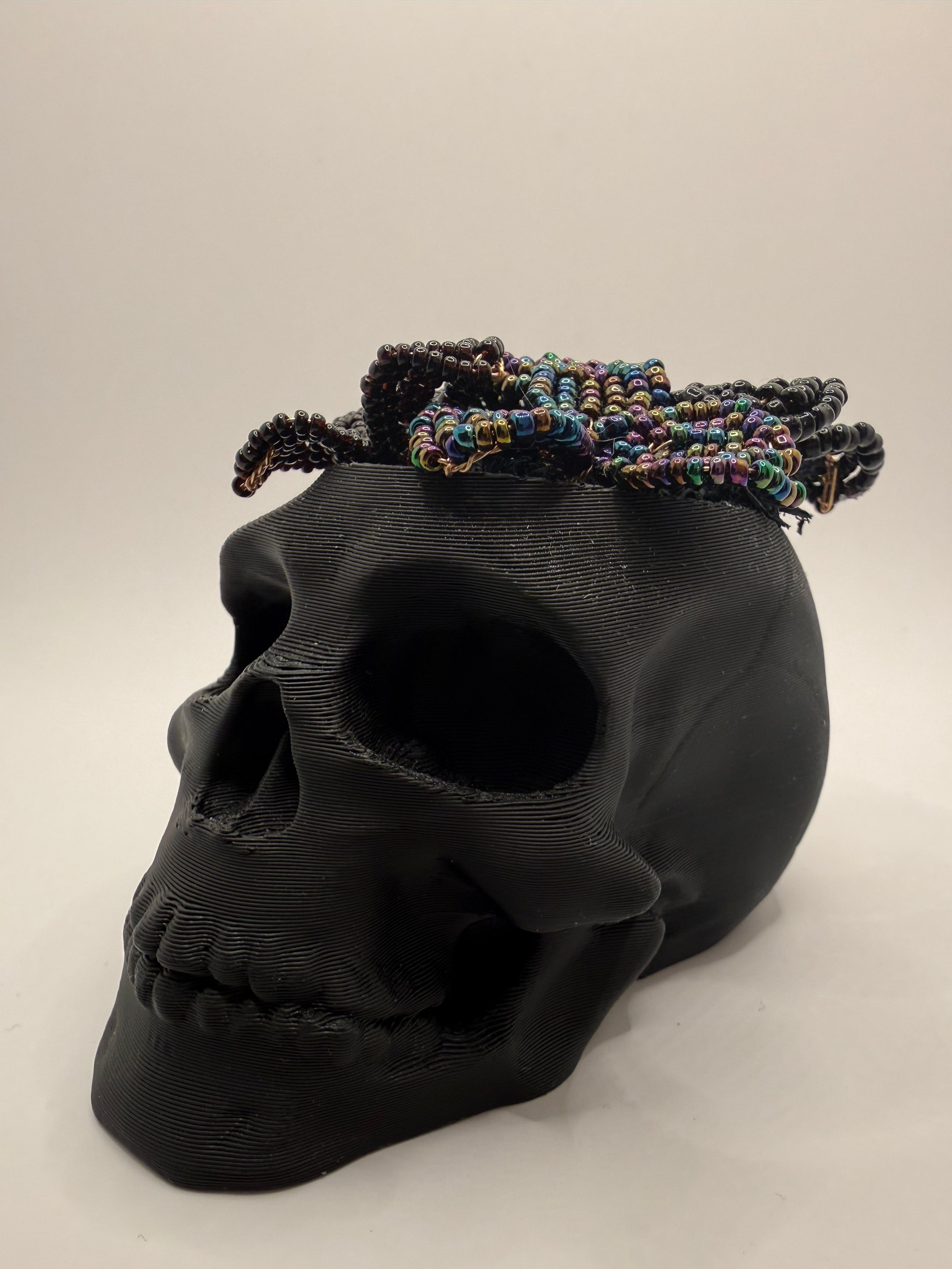 Calavera con mini suculentas