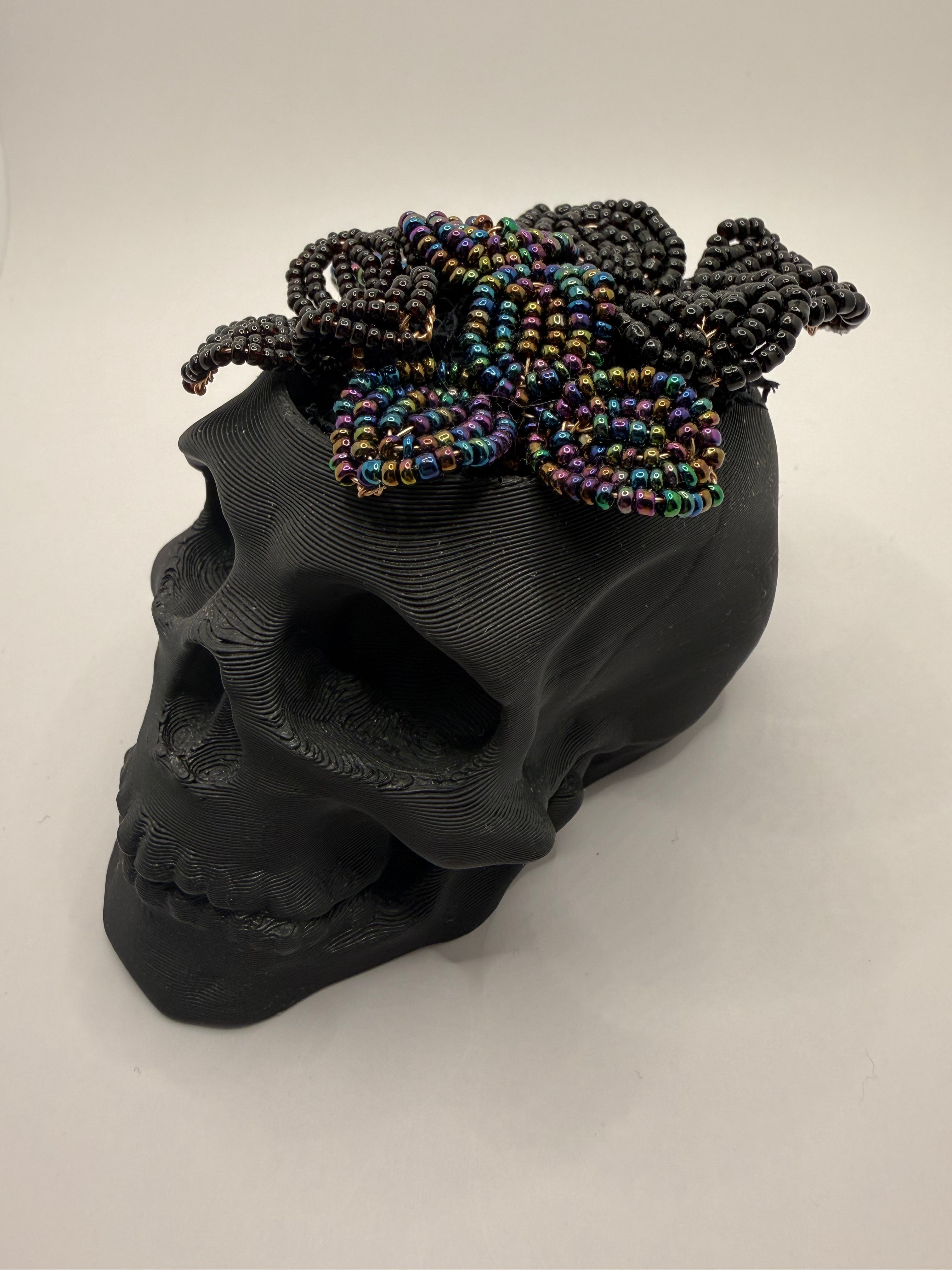 Calavera con mini suculentas