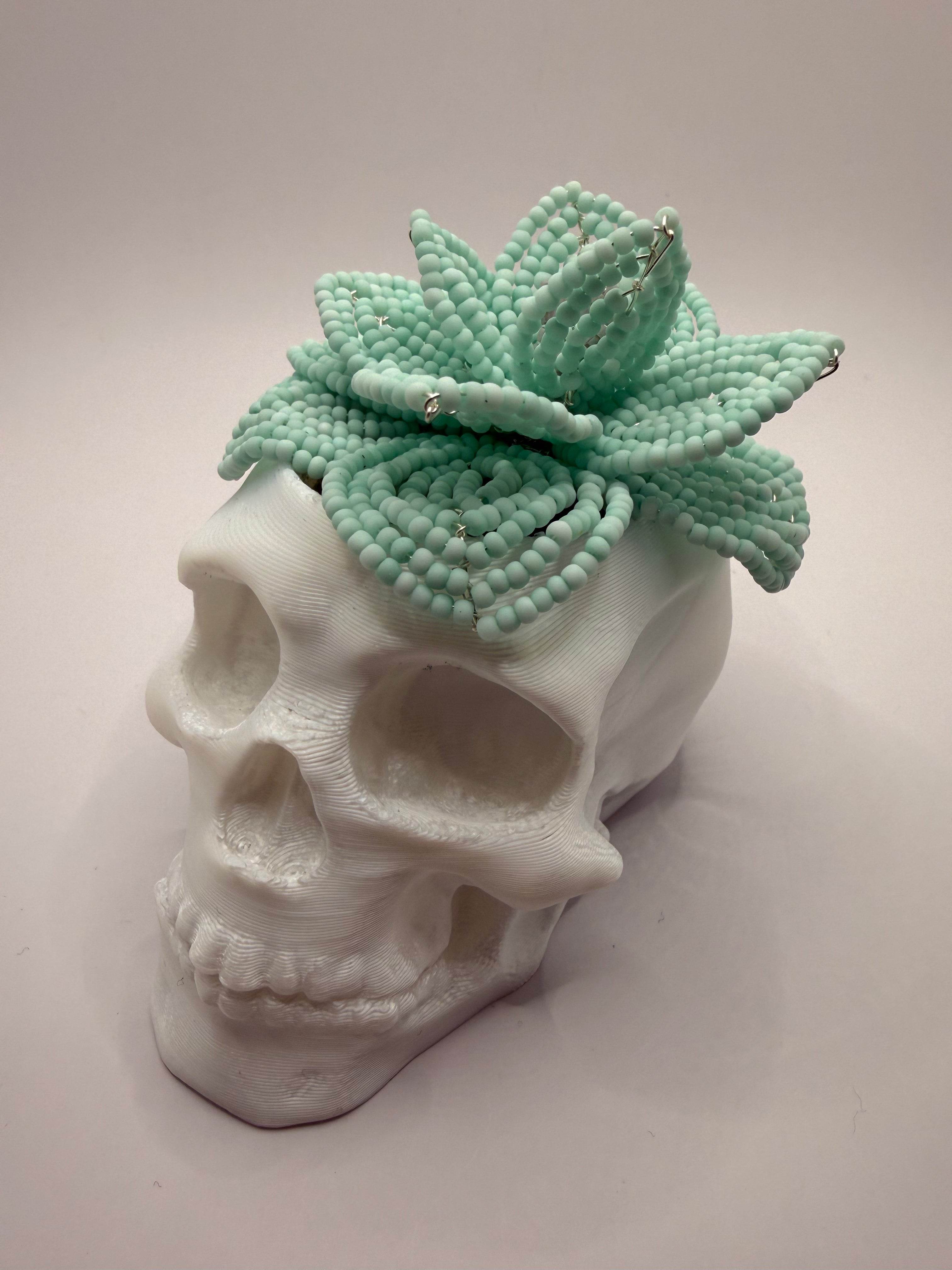 Calavera con suculenta turquesa pastel