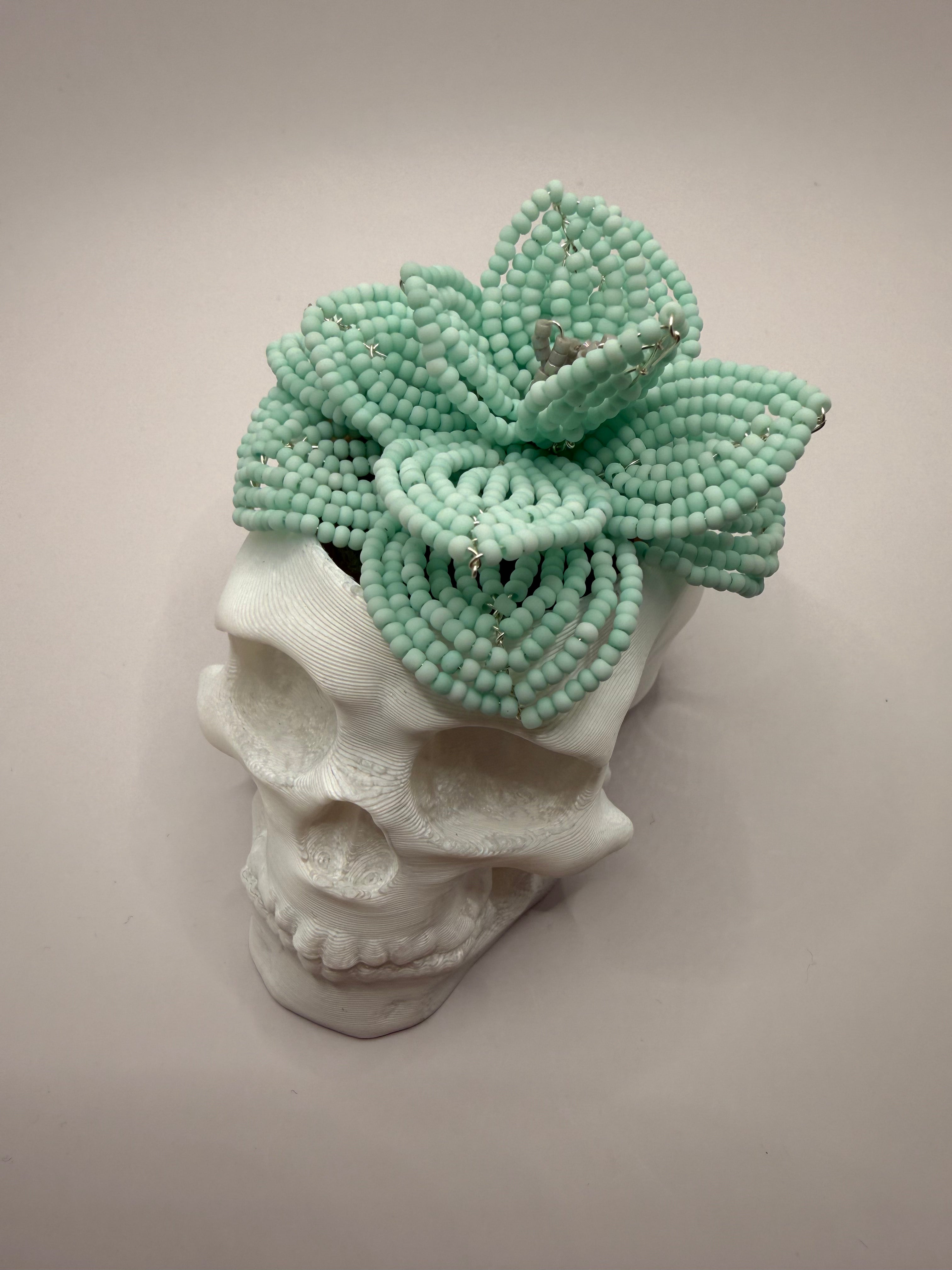 Calavera con suculenta turquesa pastel