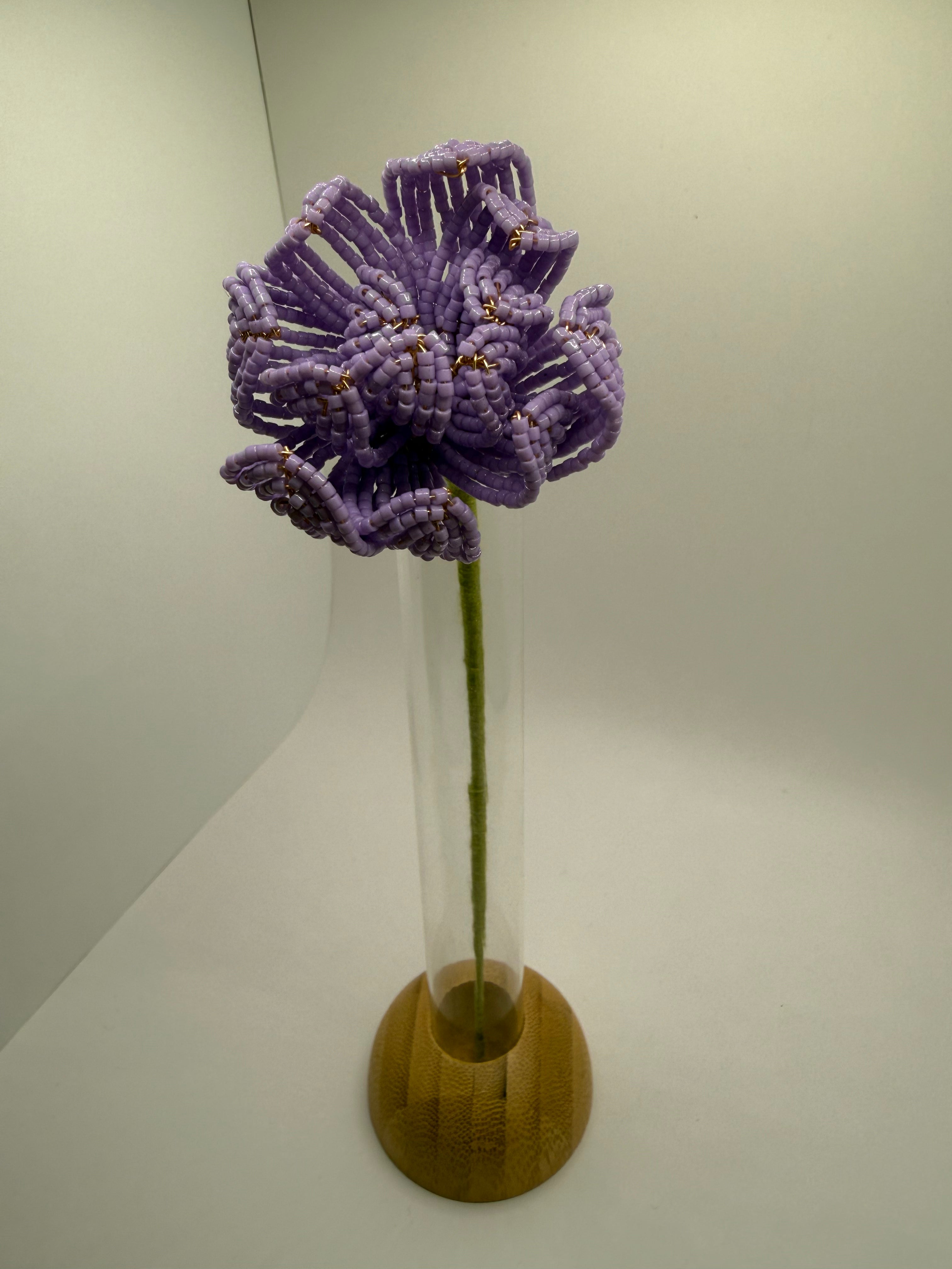 Peonía Malva