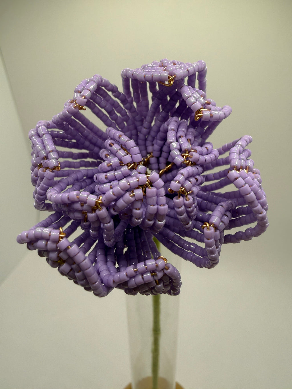 Peonía Malva