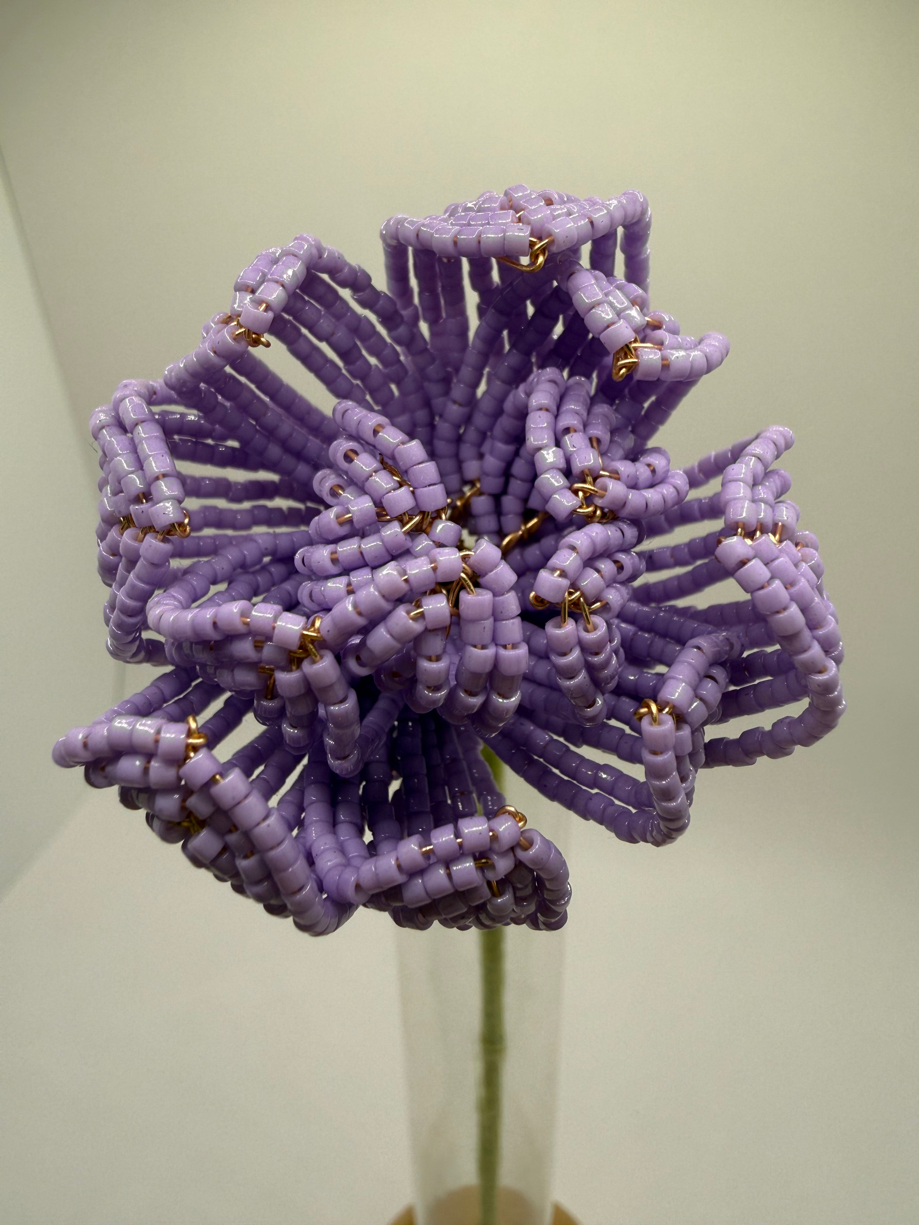 Peonía Malva