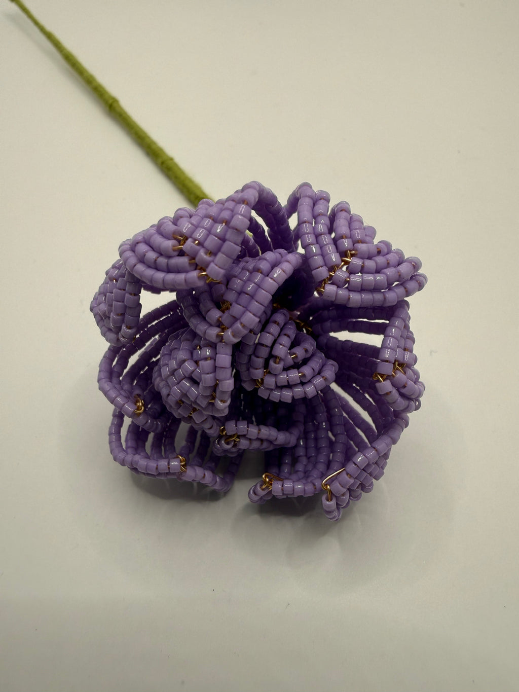 Peonía Malva