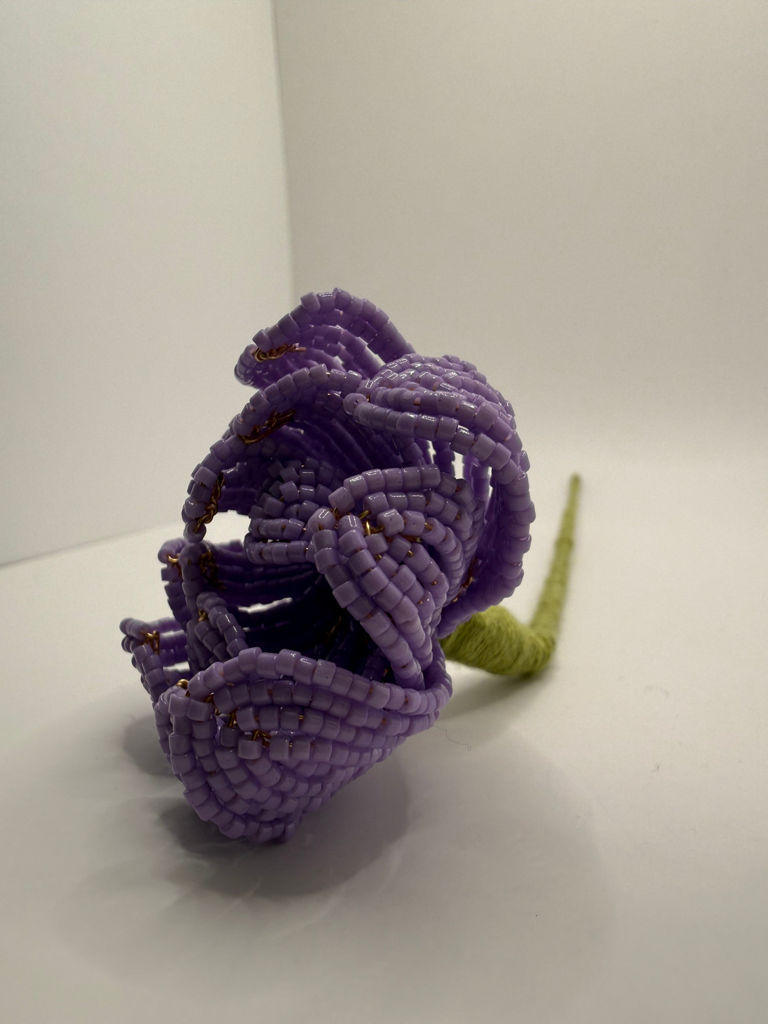 Peonía Malva