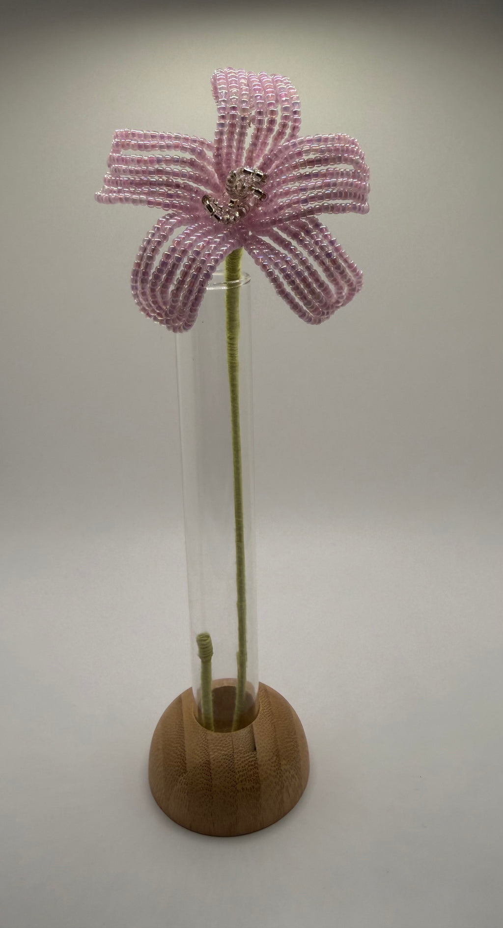 Estrella de primavera