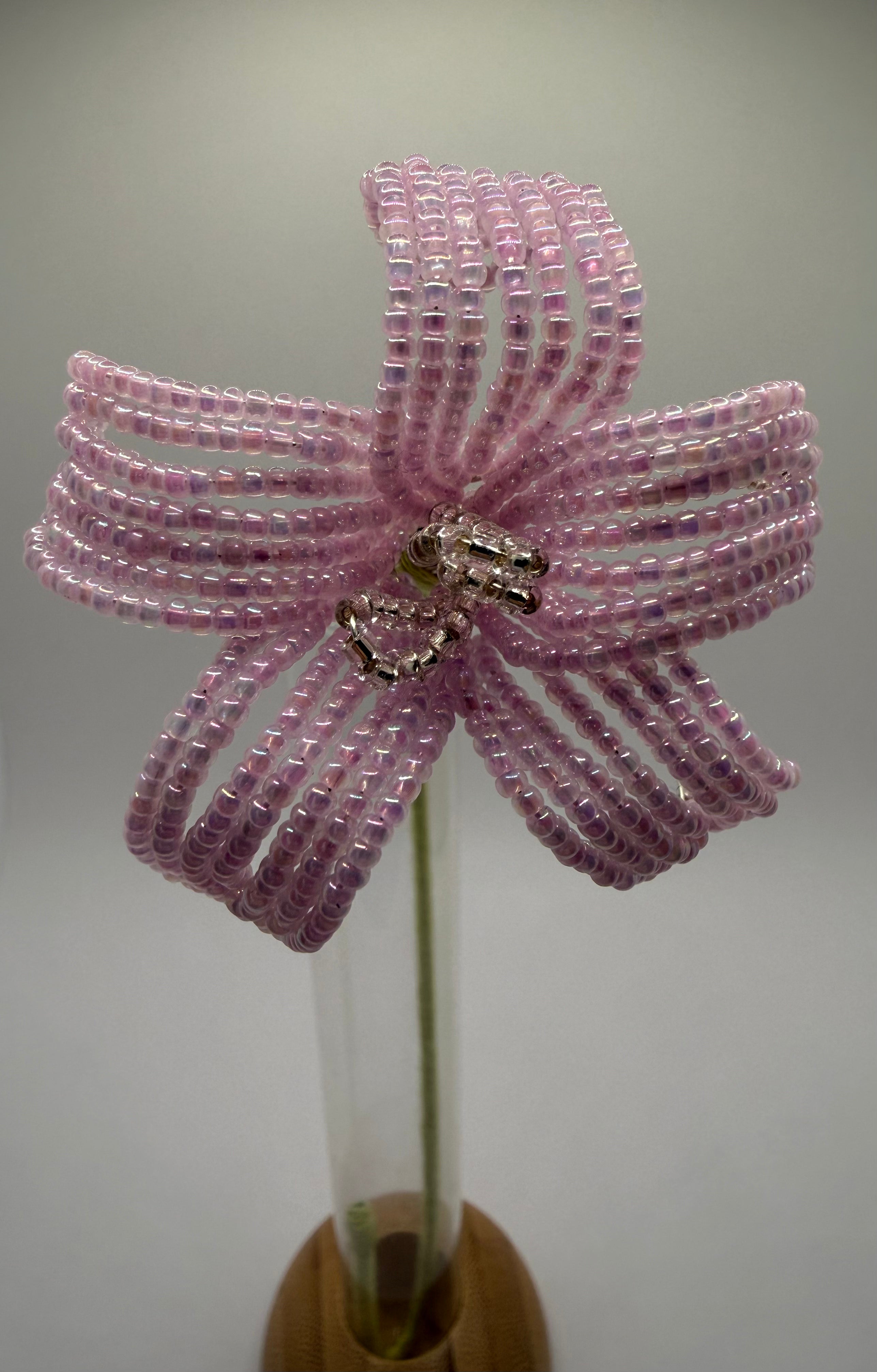 Estrella de primavera