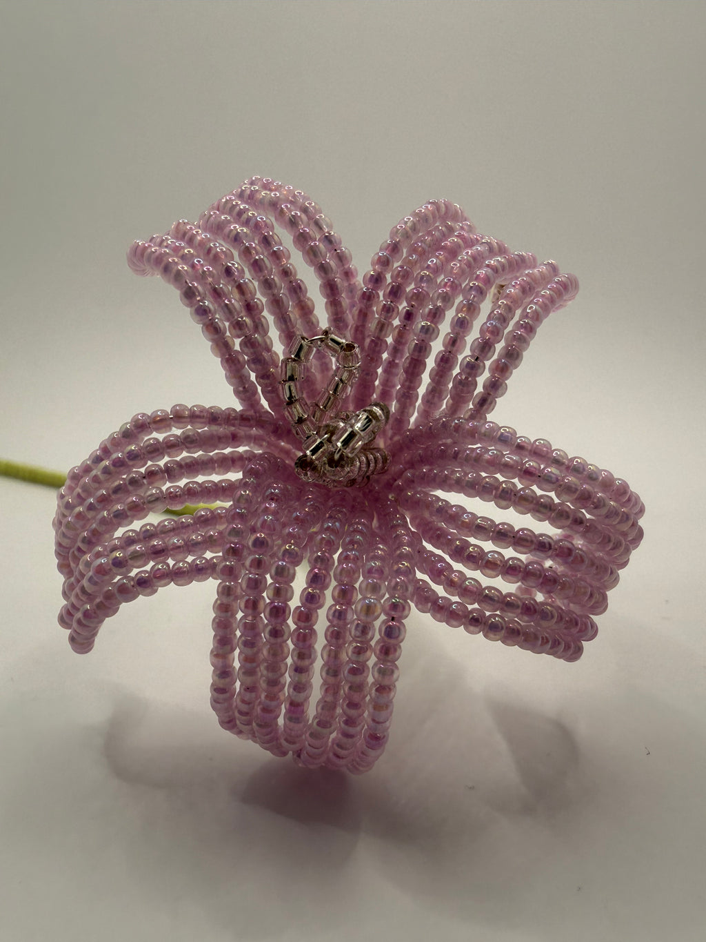Estrella de primavera