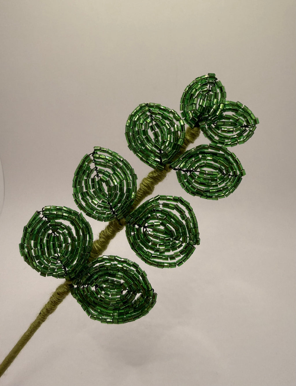 Eucaliptus verde