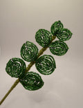Eucaliptus verde