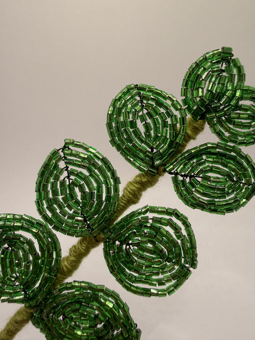 Eucaliptus verde