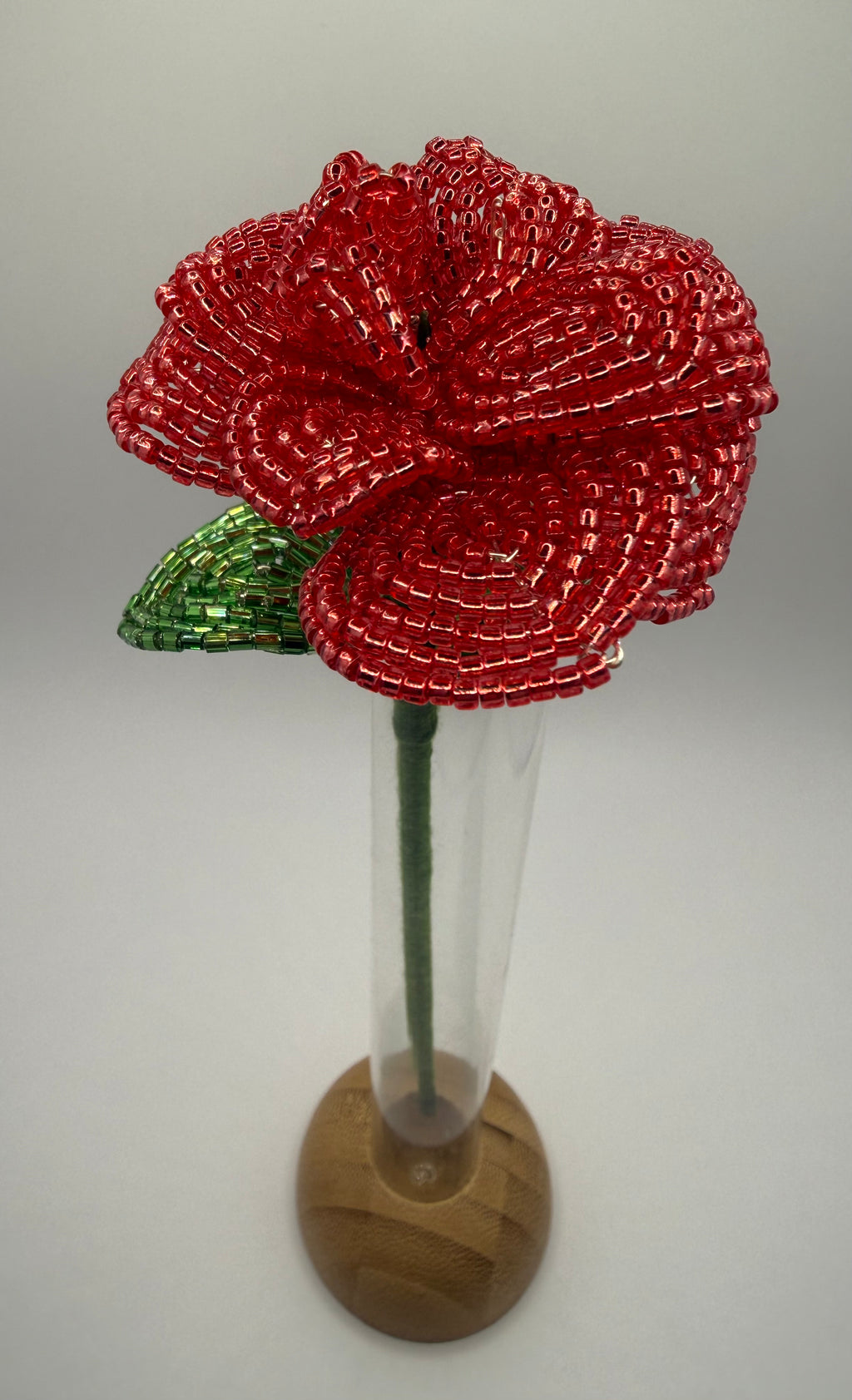 Rosa Pasión