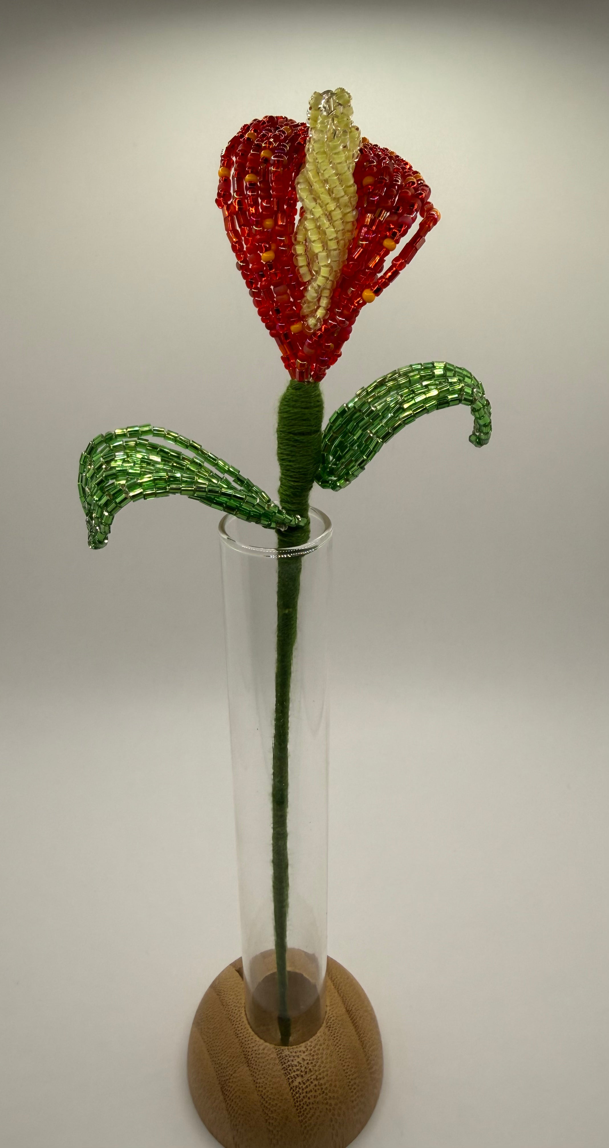 Lírio de agua o Calla Roja