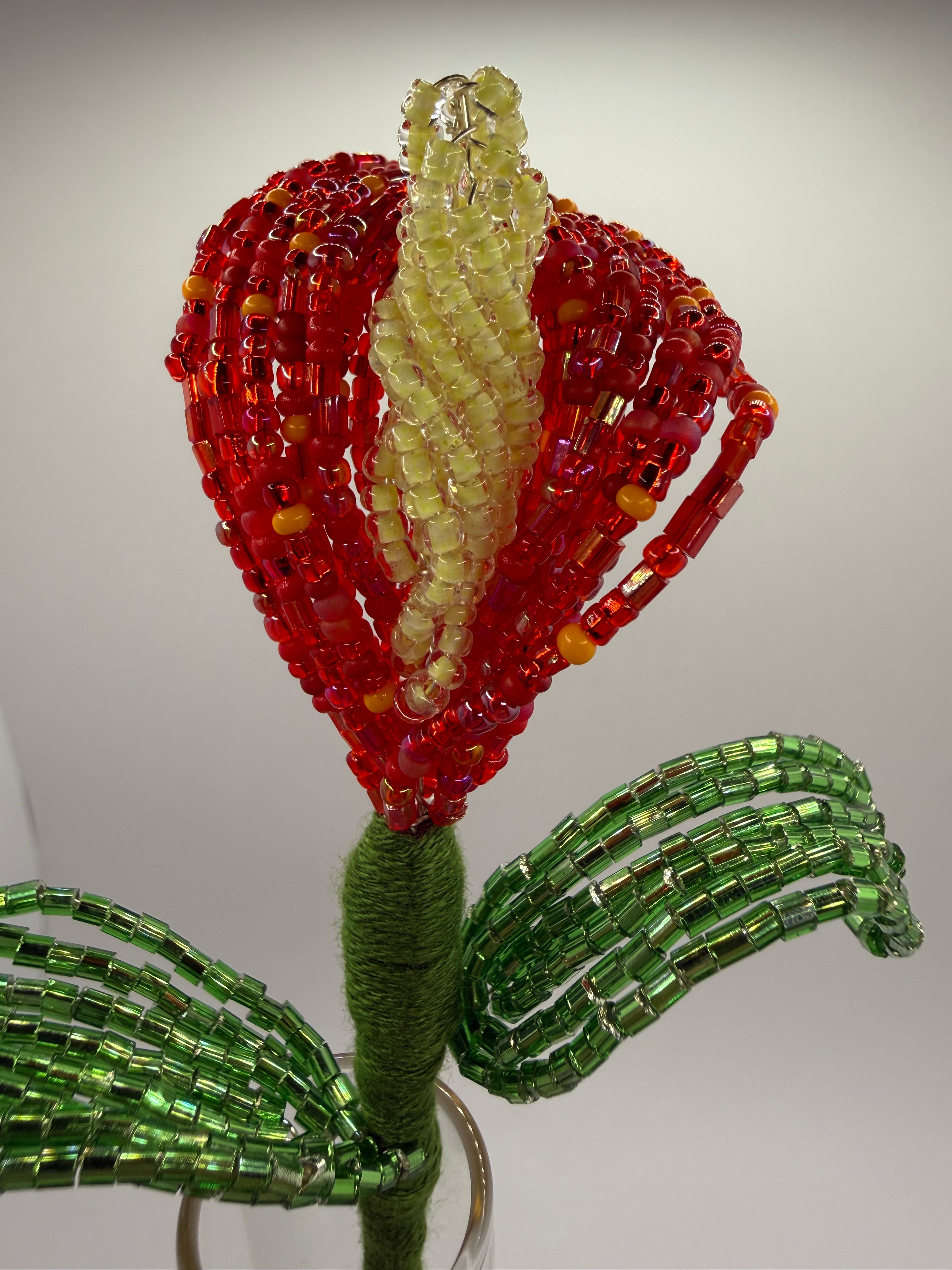 Lírio de agua o Calla Roja