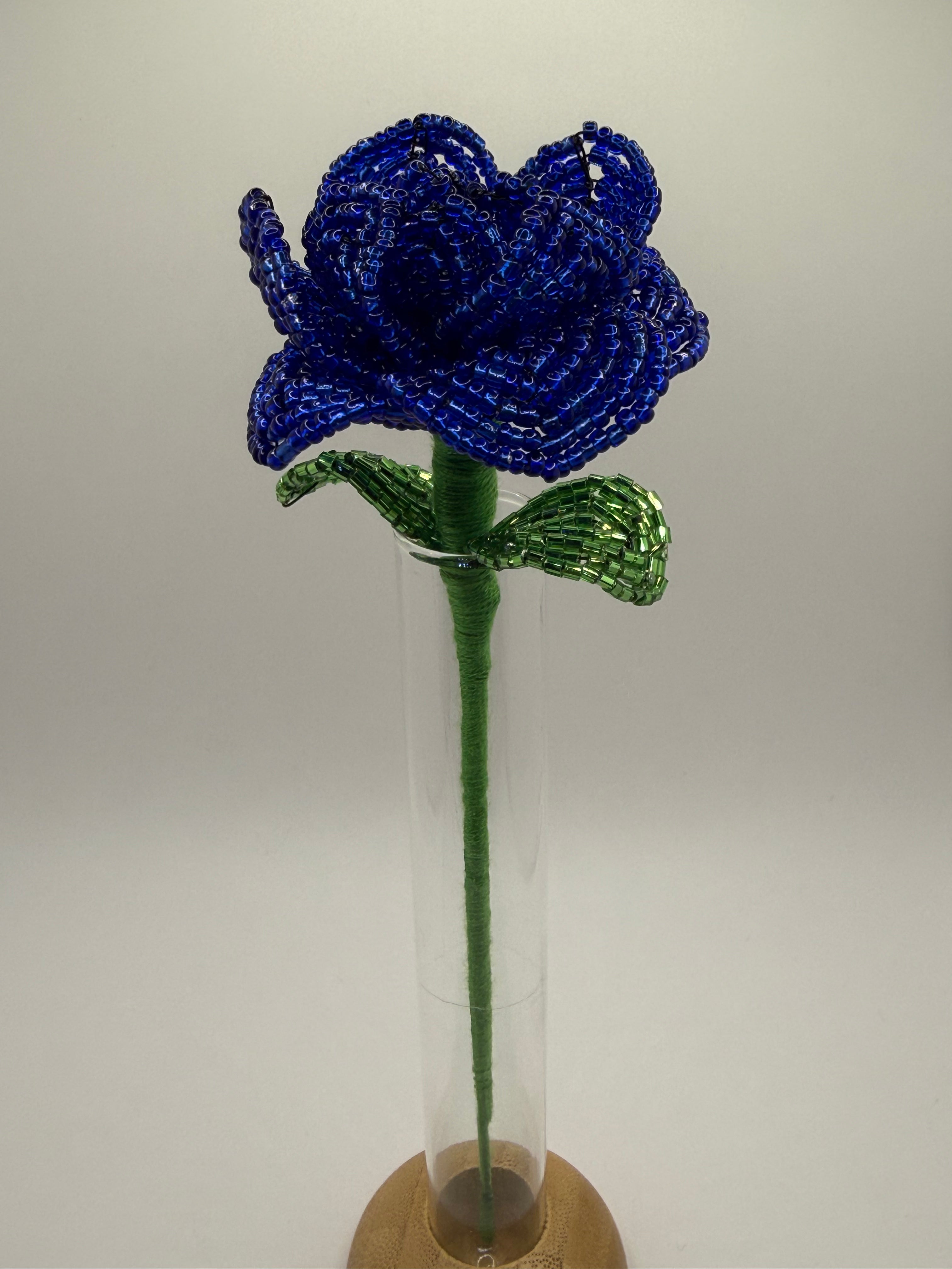 Rosa Océano