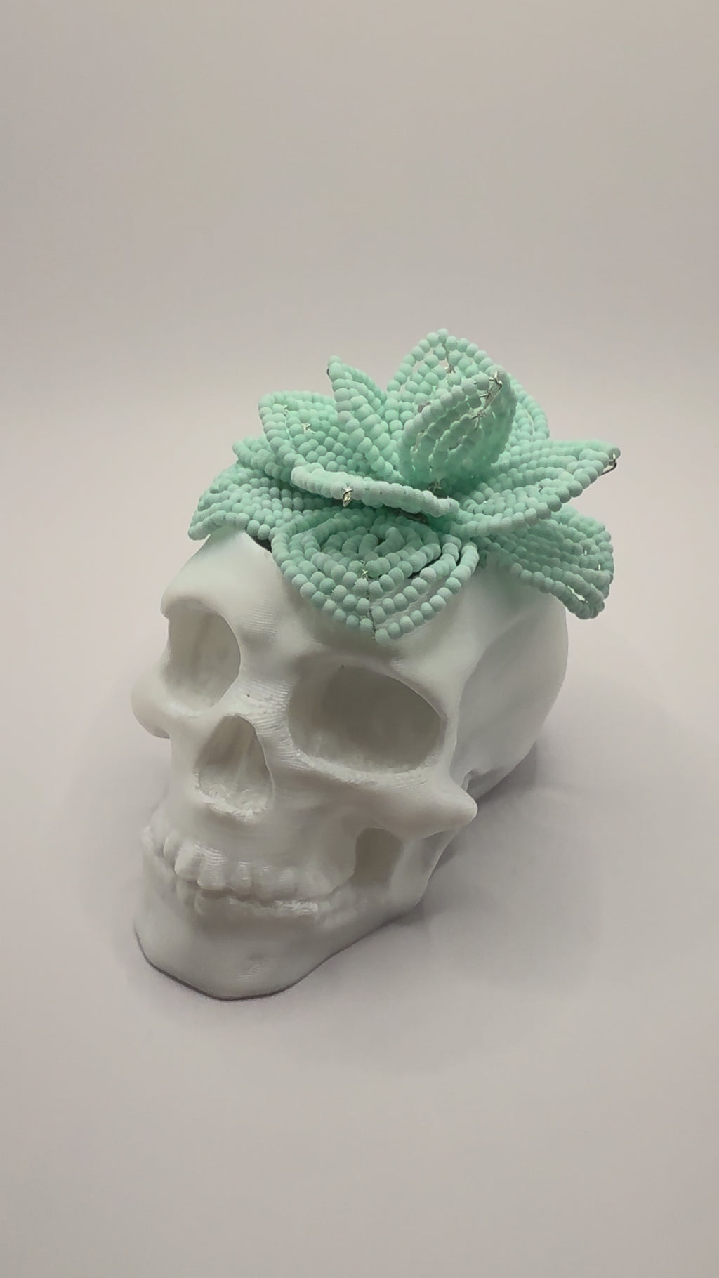 Calavera con suculenta turquesa pastel