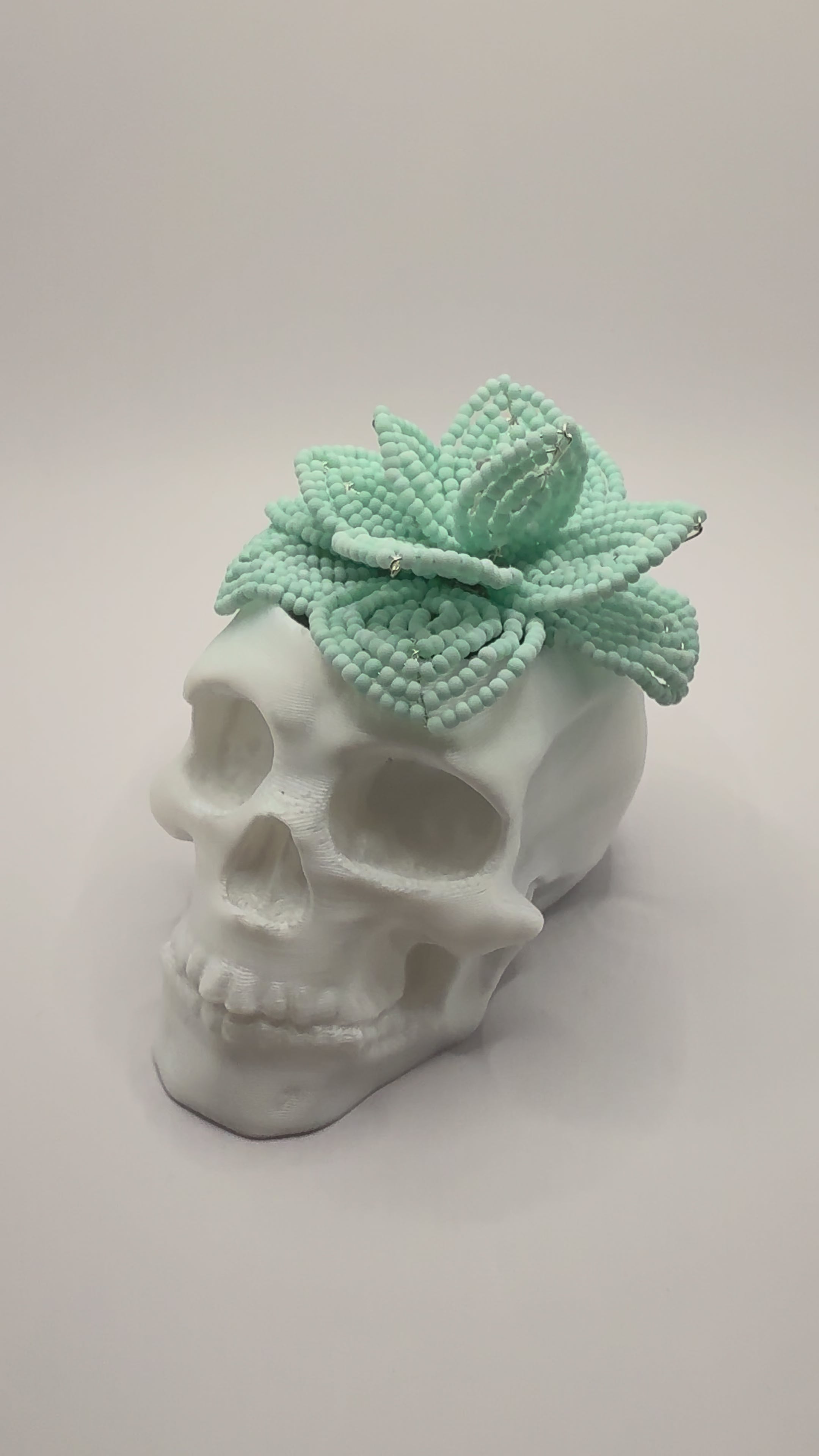 Calavera con suculenta turquesa pastel