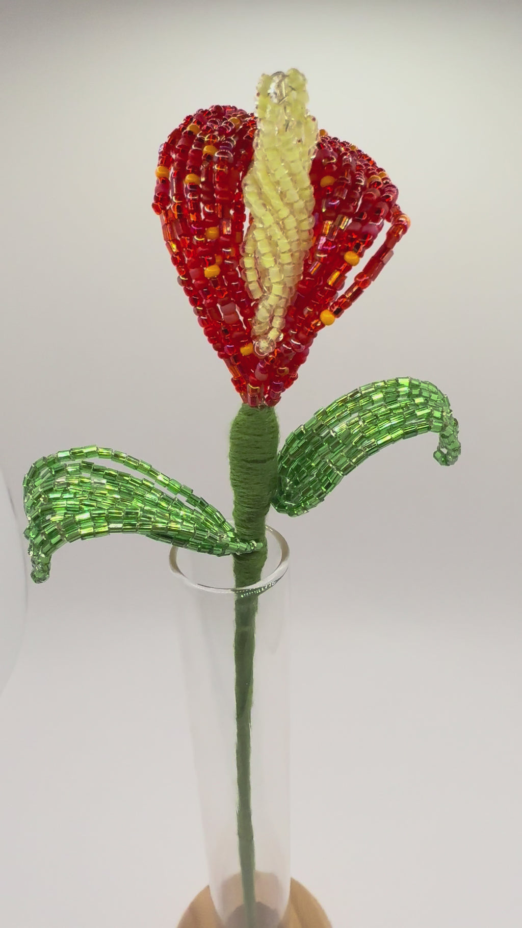 Lírio de agua o Calla Roja
