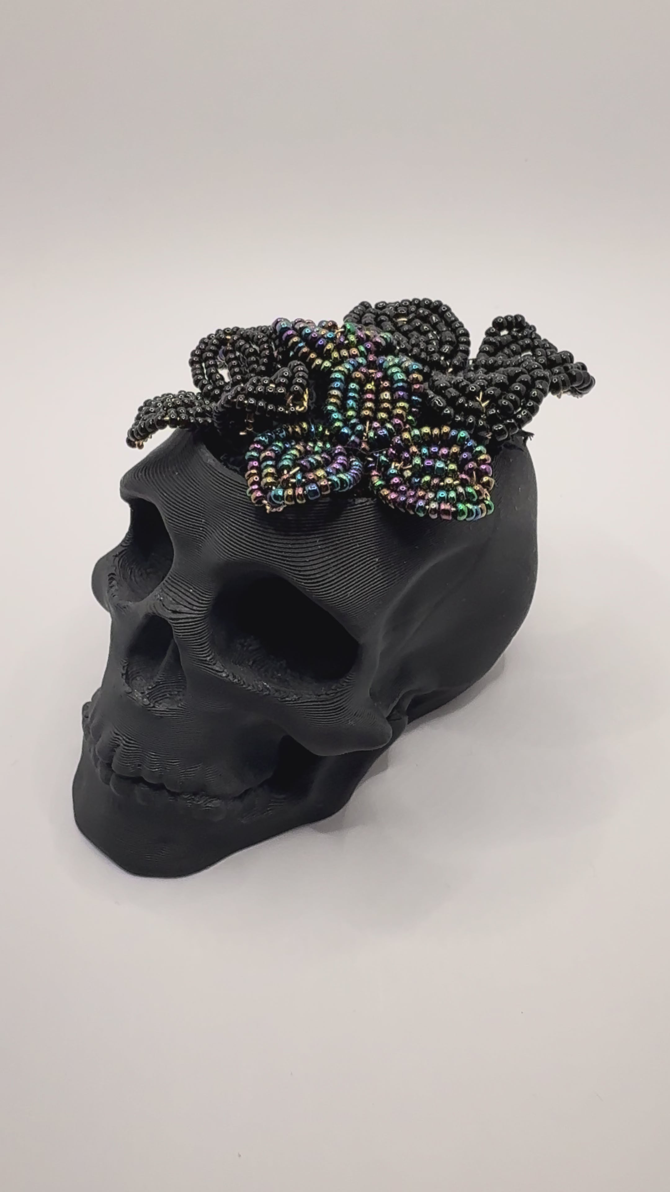 Calavera con mini suculentas